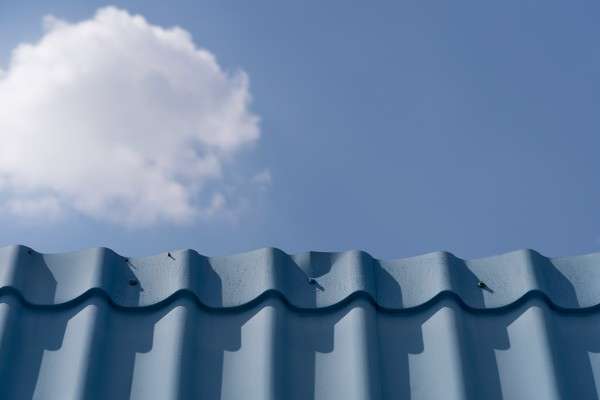 photo contrasting outdoor textures