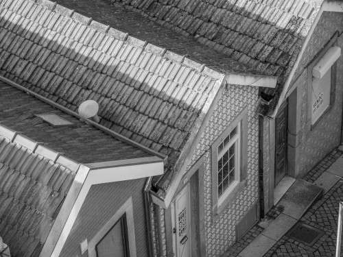 Black and white photo of houses